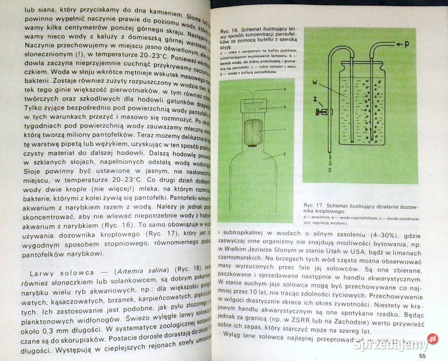 Słodkowodne ryby akwariowe Stefan Kornobis Pozostałe Chełm