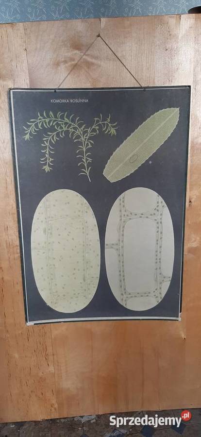 Tablice edukacyjne prl Świdnica sprzedam