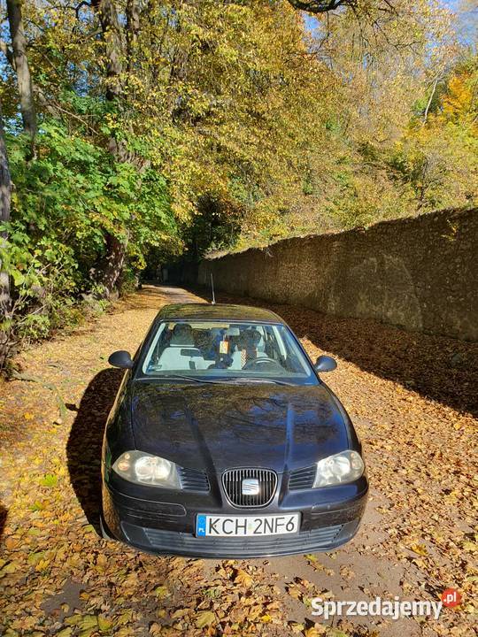 Seat Ibiza Czarna strzała