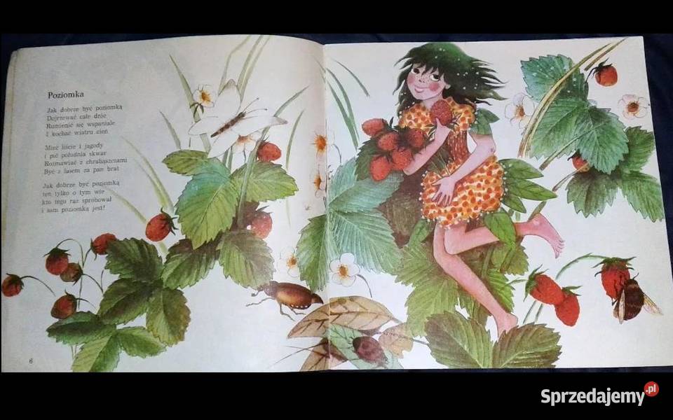 Baśniowe Przedszkole Bogdan Chorążuk sprzedam