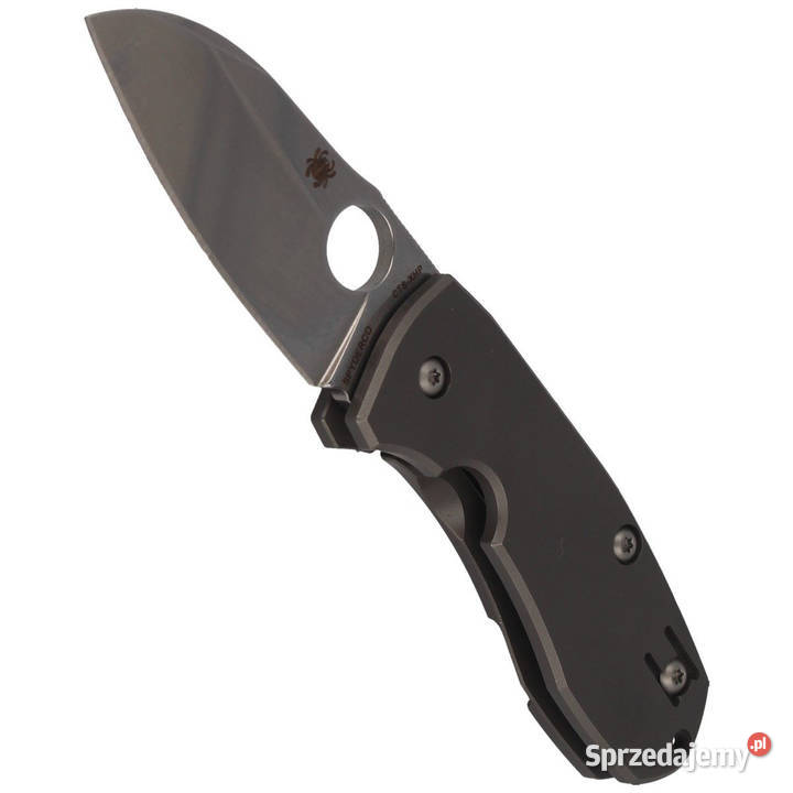 Nóż składany Spyderco Techno 2 Gray Titanium