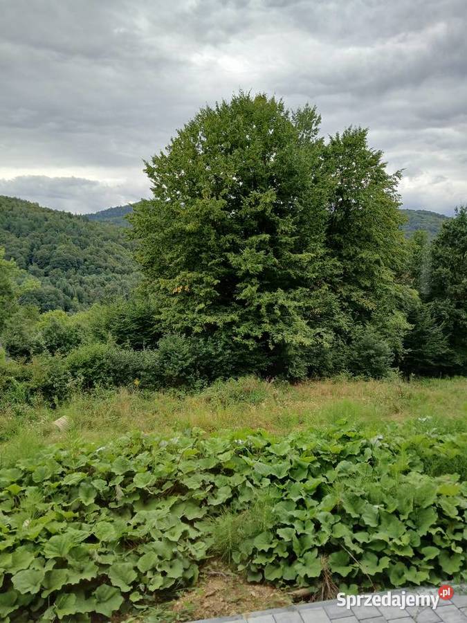 Sprzedam Piękny Nowy Dom Świetne Miejsce Myślenice