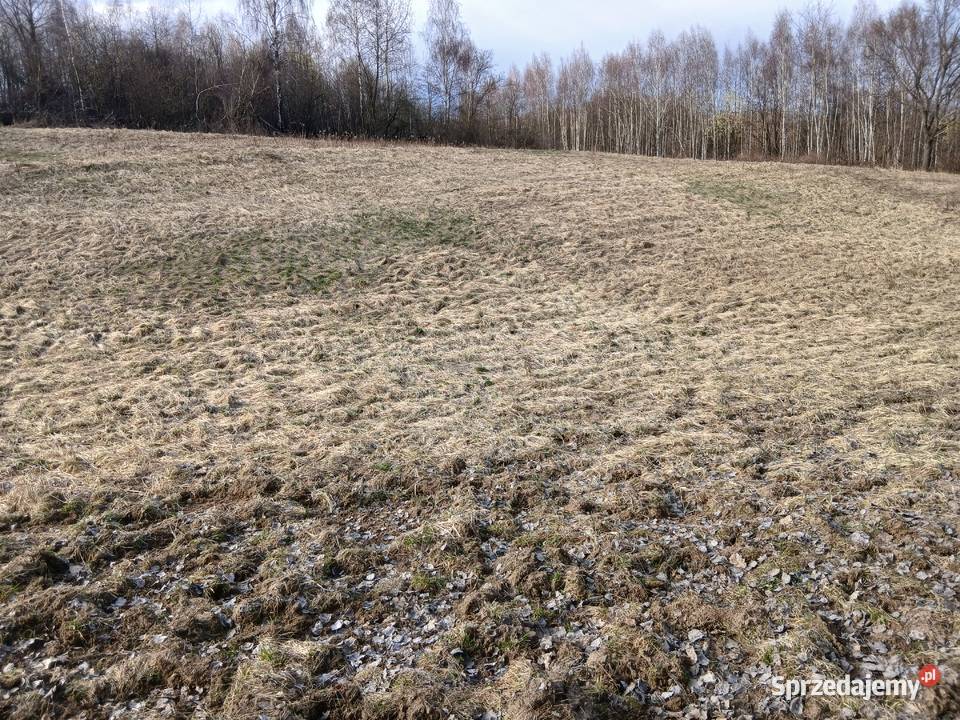 Działka rolna Czułów 70ary