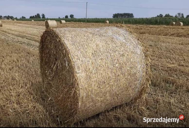 Sprzedam bele słomy Zaręby Kościelne
