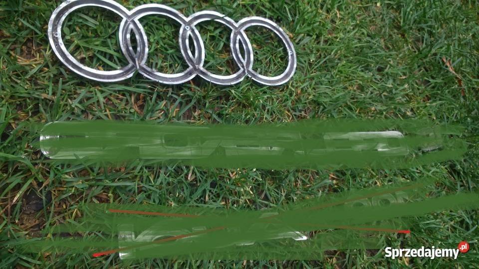 Logo Audinapisoryginał