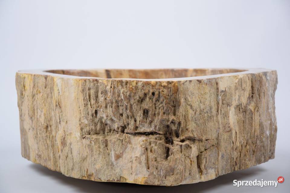 Fossil Wood SMALL SALAWATI SW31 kamienna sprzedam