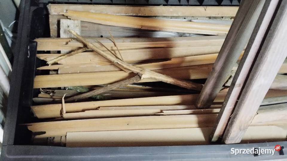 drewno deski na ognisko mega Poznań