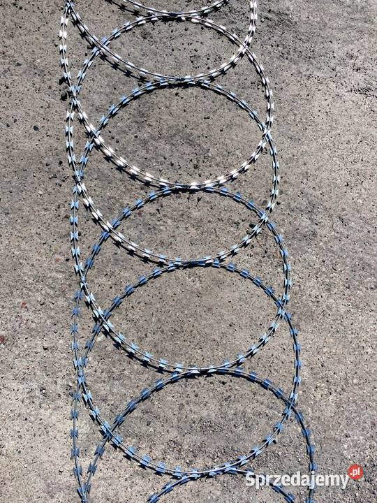 Zasieki płaskie z drutu ostrzowego 500 mm Szczecin