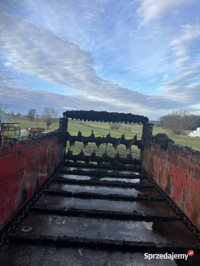 Rozrzutnik Sodimac Mońki