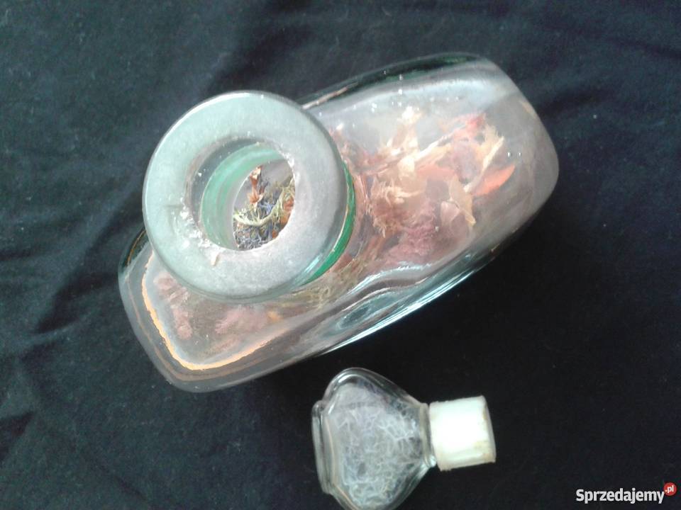 Szklane naczynie z suszonymi kwiatami przezroczysty Łódź