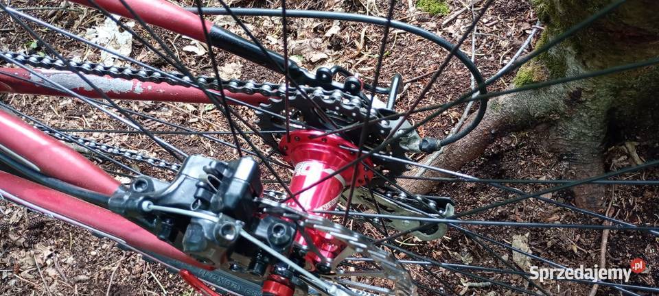 Rower Downhill Delta Sport 505 Połomia sprzedam