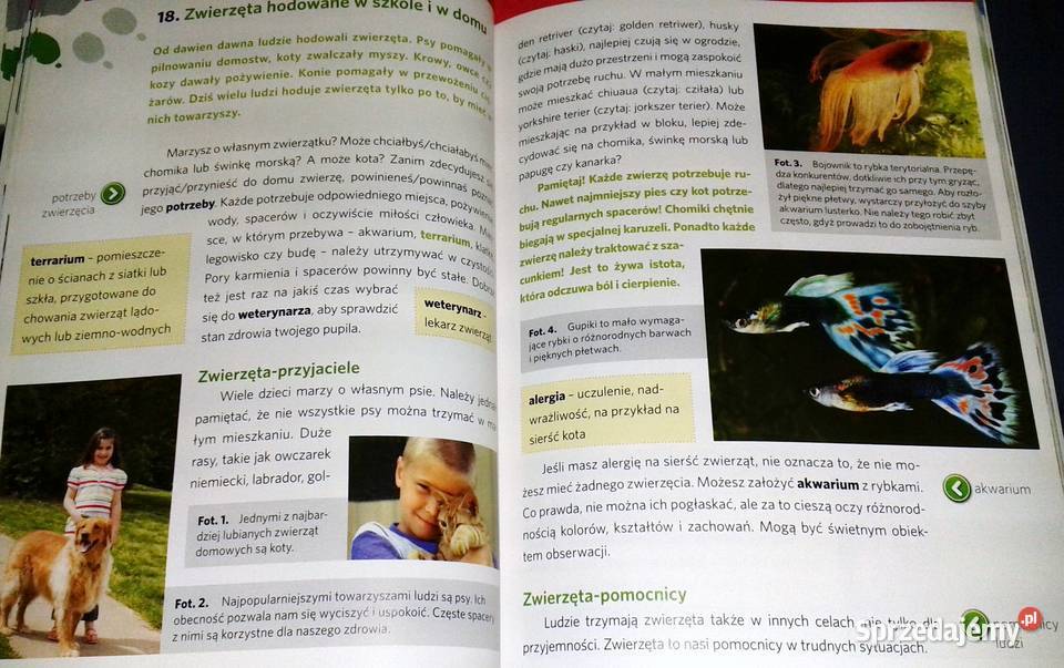 Przyroda z klasą 4 Joanna Buniowska Ewa Chełm