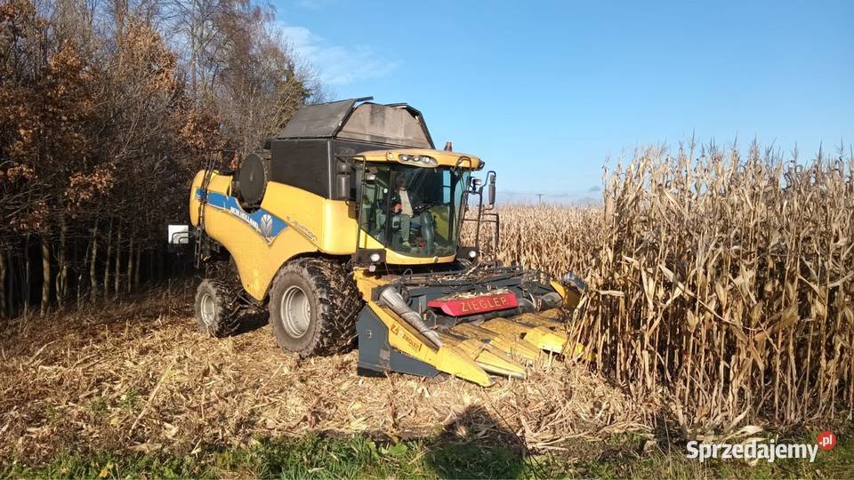 Holland Cx 5090 Maszyny rolnicze Łysakowo