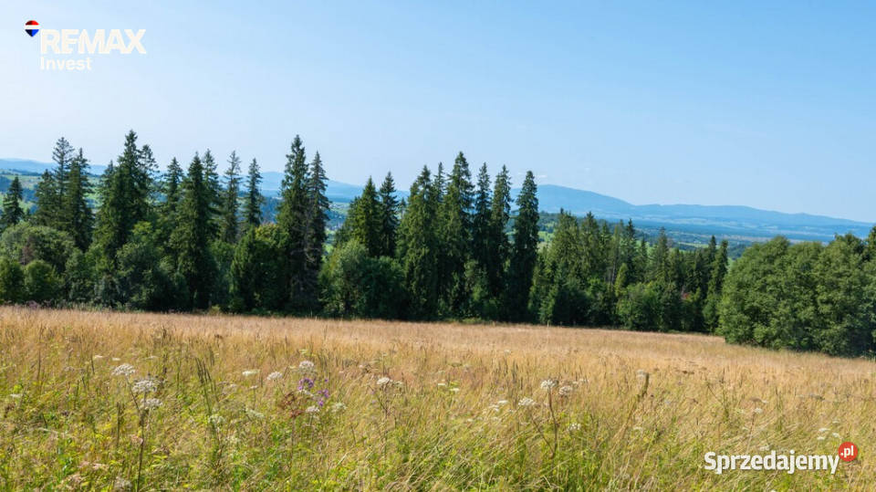 Twój kawałek natury z widokiem na Tatry 6563m2 Dzianisz