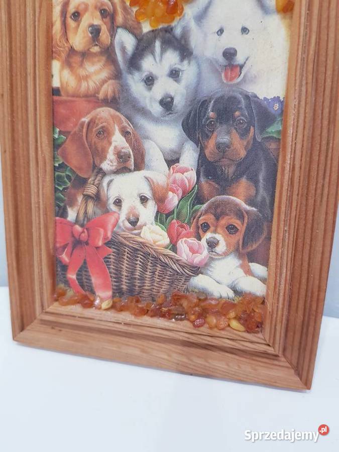 Ozdobny obrazek z bursztynkami sprzedam