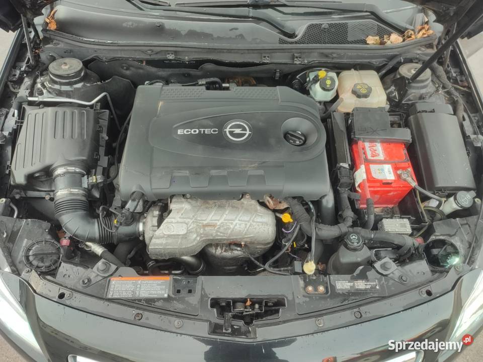 Opel Insignia 20 CDTi 160 2010 Manual KOMBI 2000cm3 Wiślica