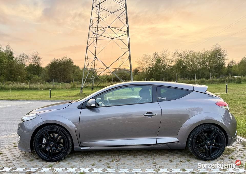 Renault Megane RS 250 1998cm3 Rzeszów