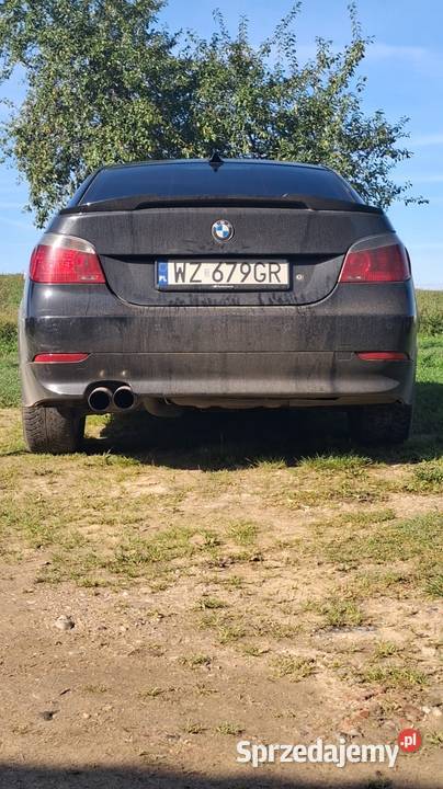 BMW E60 520i 170 M54 2003r Sigajny