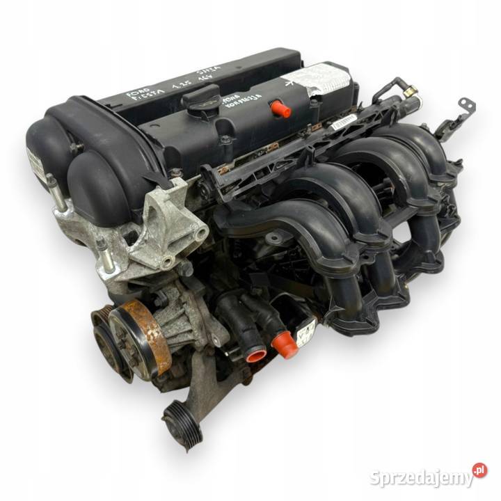 SILNIK SNJA Ford Fiesta VII MK7 125 82 benzyna Silniki kompletne Chełm sprzedam