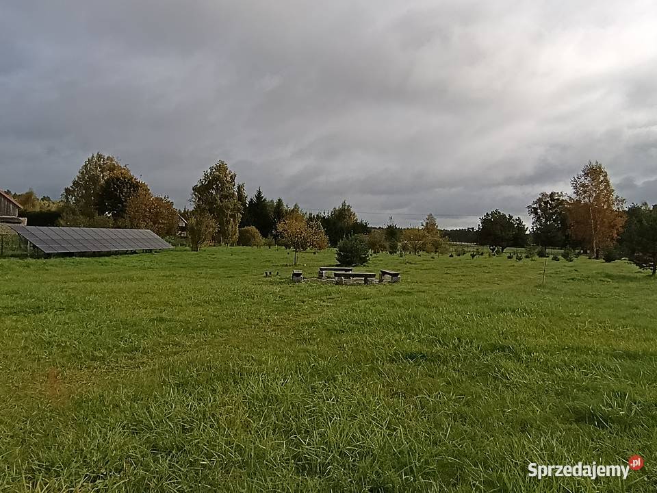 Dom w Liwa z dużą działką 14000 m2