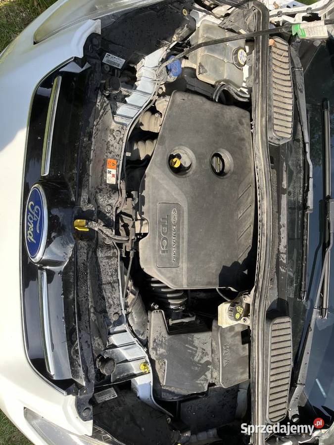 Ford C 16 Tdci 2014r światła przeciwmgielne