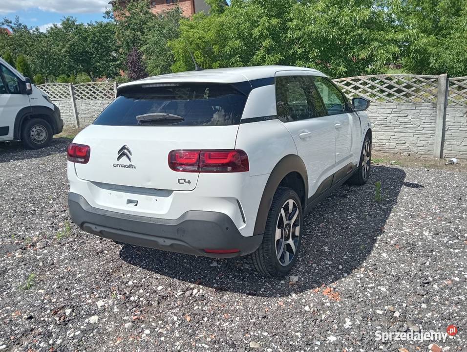 C4 cactus 12 automat Margonin