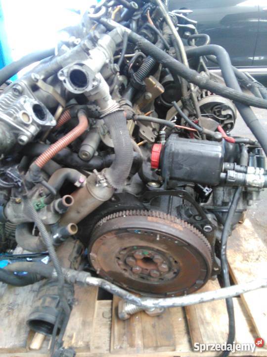 Silnik Alfa Romeo JTD 19 8v 115 84 kw osprzet silniki kompletne Słupsk