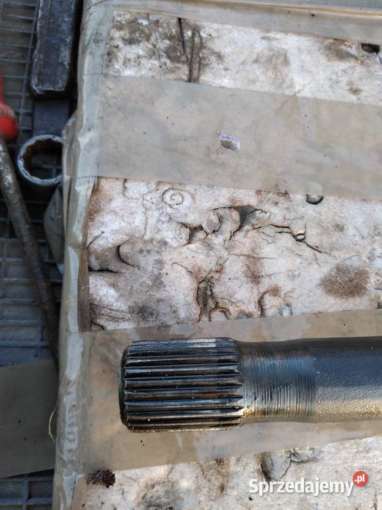 Polonez Caro plus polosbeben tarcza kotwiczna osobowe Stalowa Wola