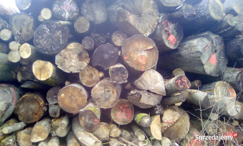 TANIE DREWNO KOMINKOWE I OPAŁOWE TRANSPORT Kołobrzeg sprzedam