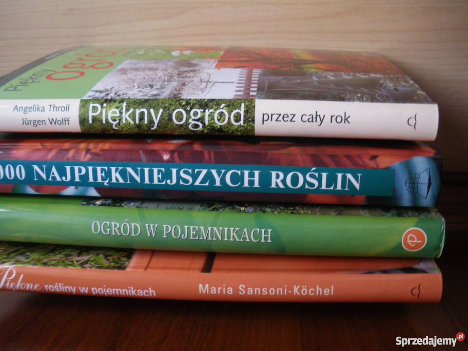 Książki albumy Pozostałe Kraków