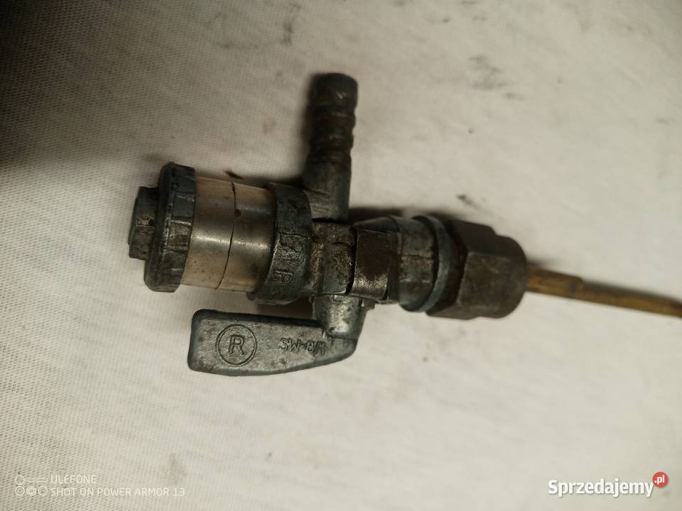 WSK SPORT BĄK LELEKDUDEK Bytonia