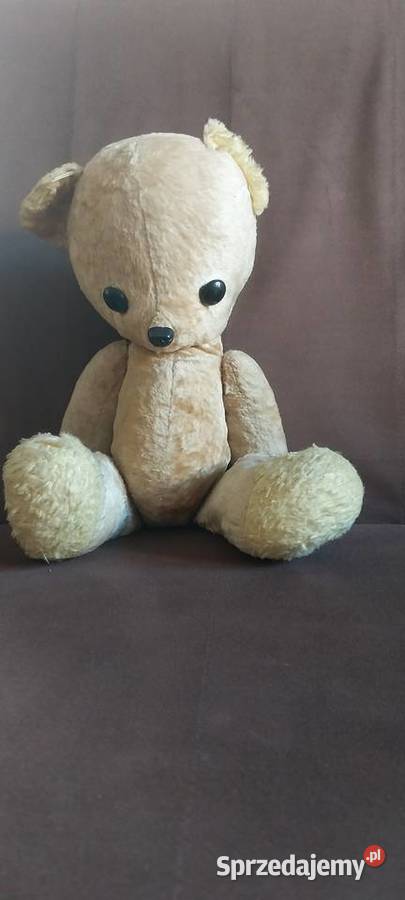 Stary miś Pozostałe Warszawa