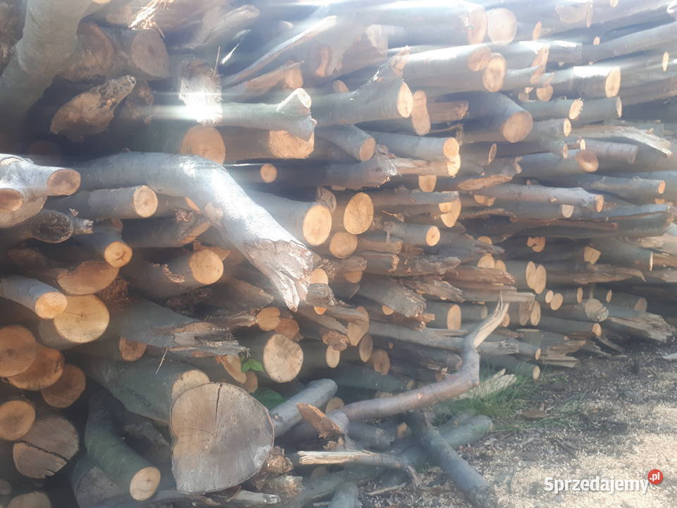 Drewno drzewo buk transport śląskie Ustroń