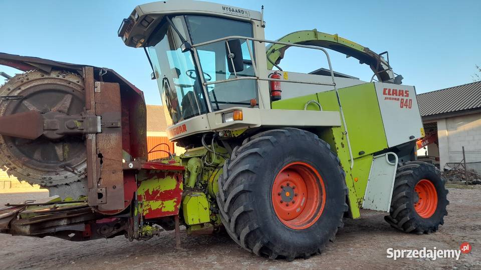 Sieczkarnia Class Jaguar 840 4x4 Heder do Samojezdne Rolnictwo Lubień Kujawski
