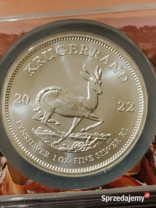 Moneta srebrna Krugerrand 1 Rand NGC Ostrów Mazowiecka