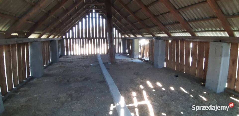 Dombud gospduża działka 2 piętra Dębno