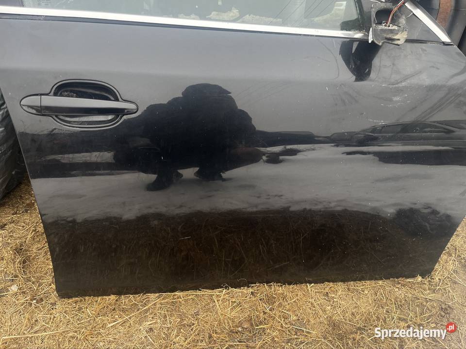 Drzwi BMW e60 Trzcinica