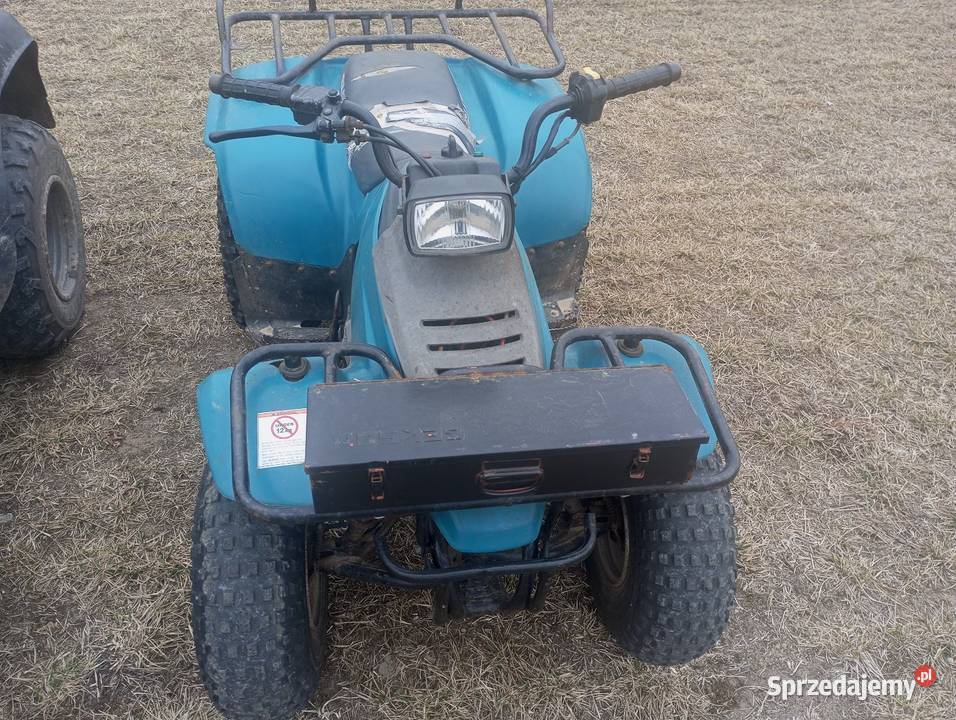 Quad Suzuki 160 Suzuki