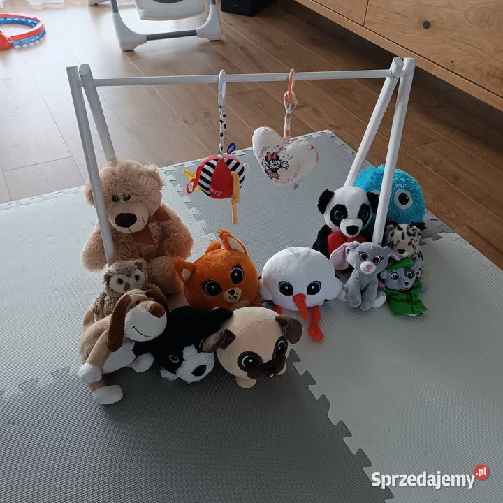 Stajak edukacyjny z pluszakami Dla Dziecka podkarpackie