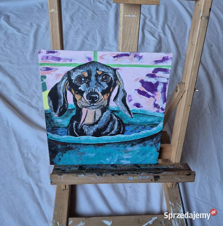 Obraz jamnik jamniczek artysty na prezent na Malarstwo Brzesko