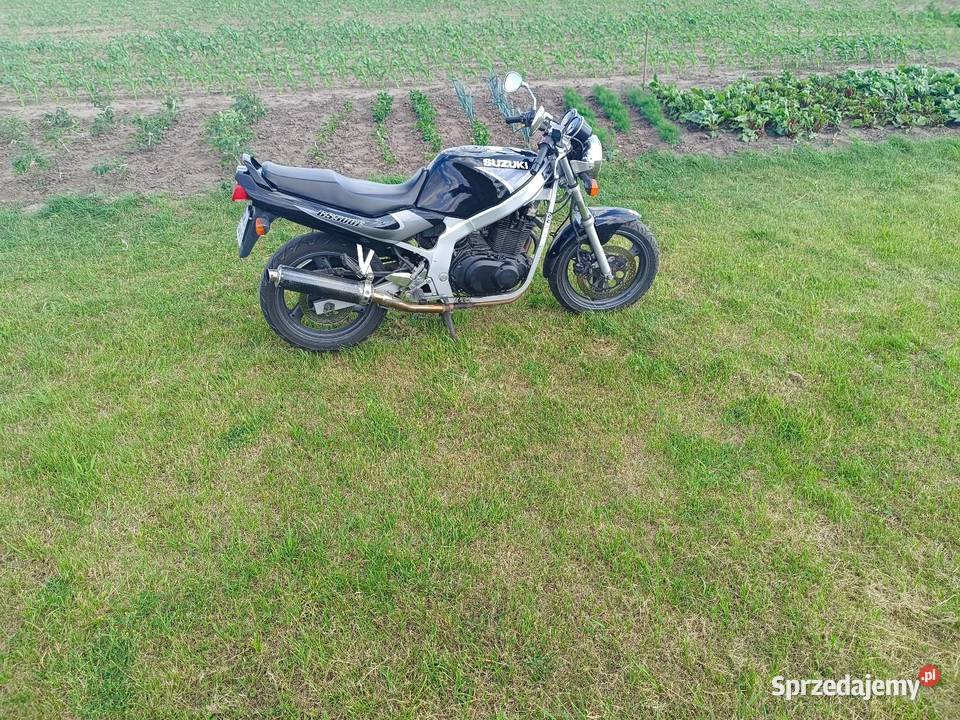 Suzuki gs500E kata2 Smólsk