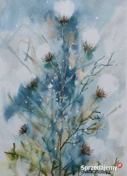 Akwarela Akwarelka Obraz pt Ostrożeń Polny Antyki, Sztuka, Kolekcje