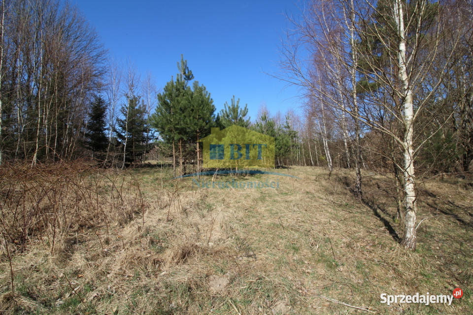 Działka 3002m2 w pięknym miejscu Grunty i działki Dąbrowica