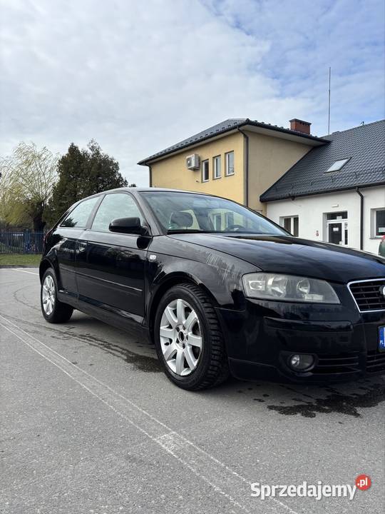 Audi A3 8P Ryki