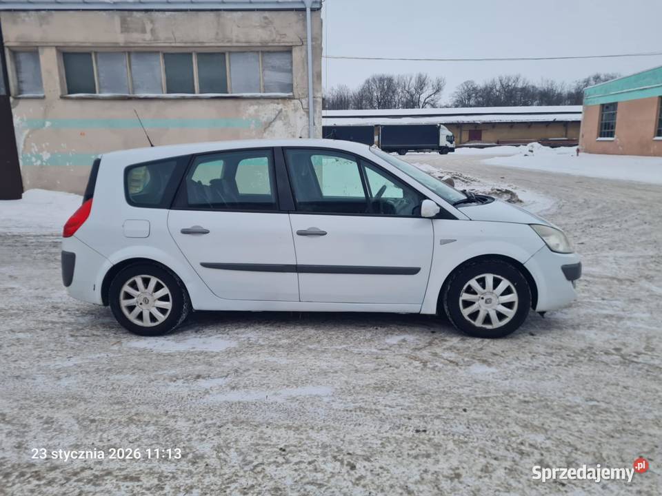 SCENIC 7 osobowy AUTOMAT 2008r Grajewo