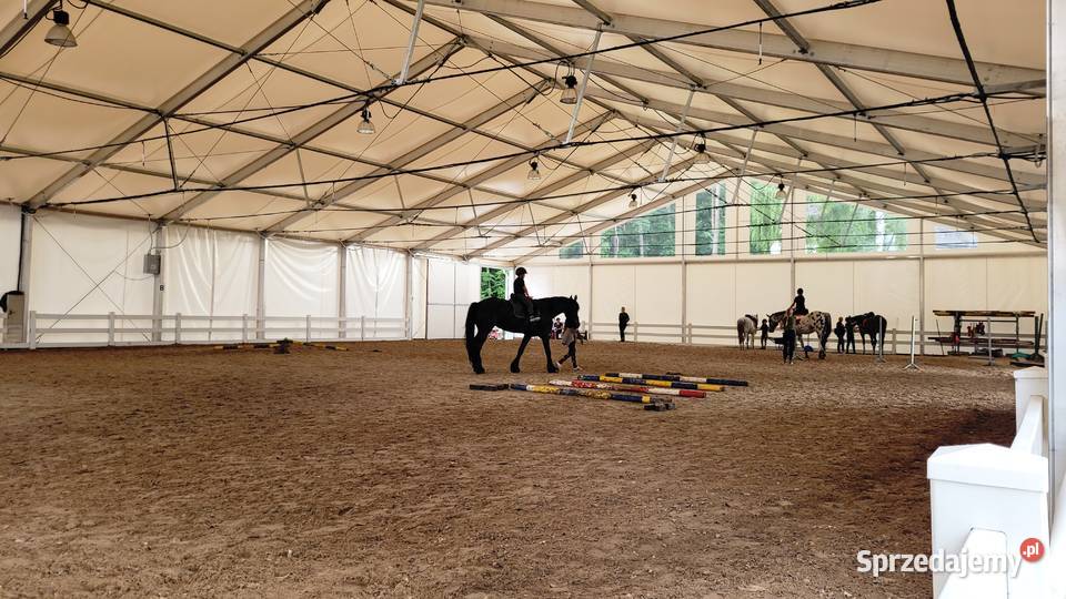 Hala ujeżdżalnia 20x30x4m sprzedam hala Rzeszów sprzedam