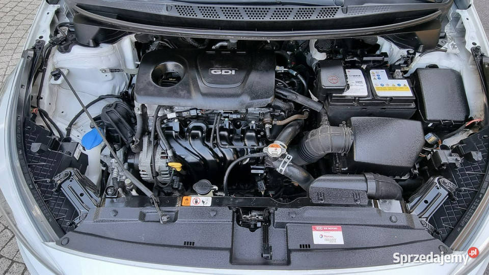 Kia Ceed Lift Navi Wzorowy Stan 16 135 GWARANCJA lakier metallic Płońsk