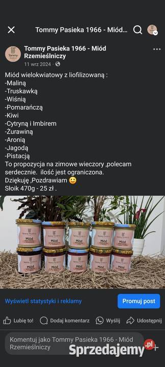 Miód z własnej rzemieślniczej pasieki wielkopolskie Gostyń