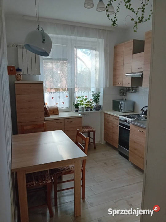 Widne 2 pokoje lasu Warszawa Rembertów