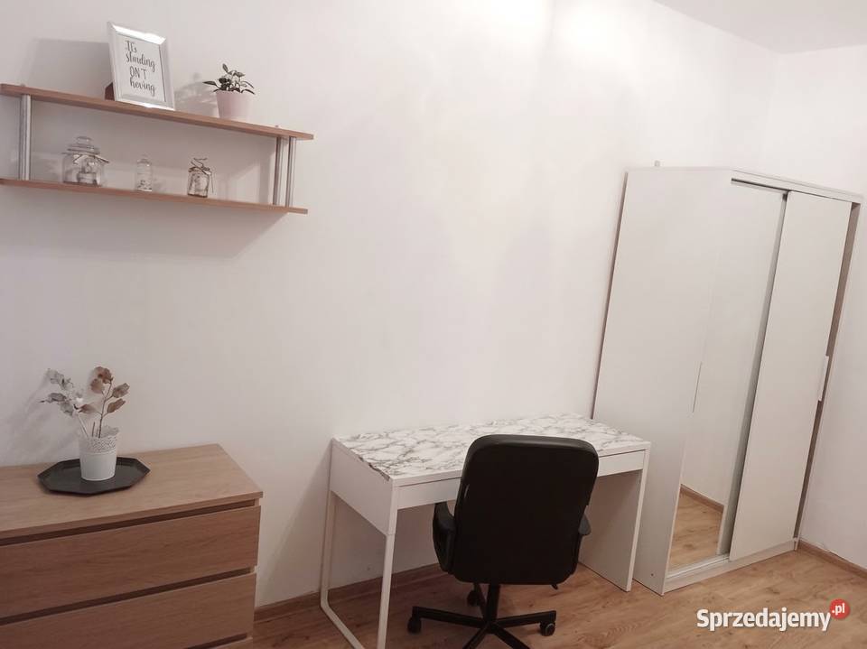 Mieszkanie bezpośrednio Wrocław Gajowicka piwnica